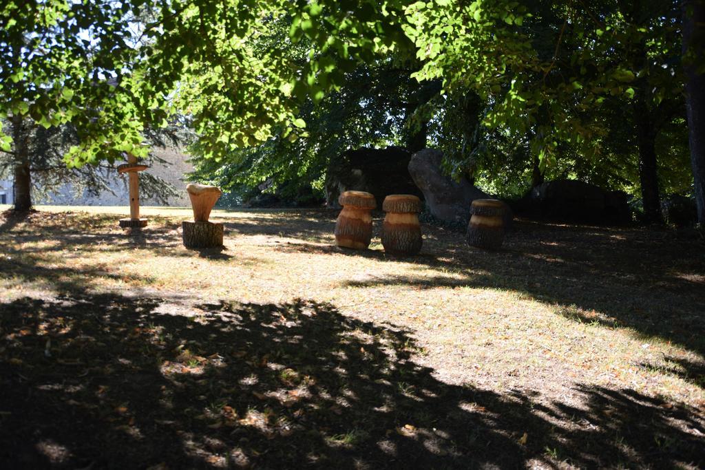 Bed and Breakfast Domaine De La Rocque Liorac-sur-Louyre Exterior foto